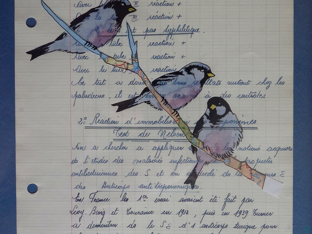 bestiaire-026