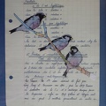 bestiaire-026