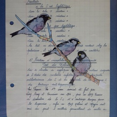 bestiaire-026