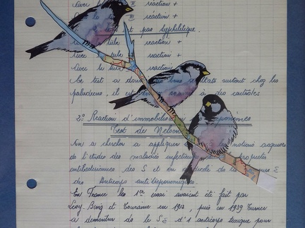 bestiaire-026