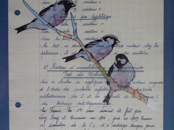 bestiaire-026