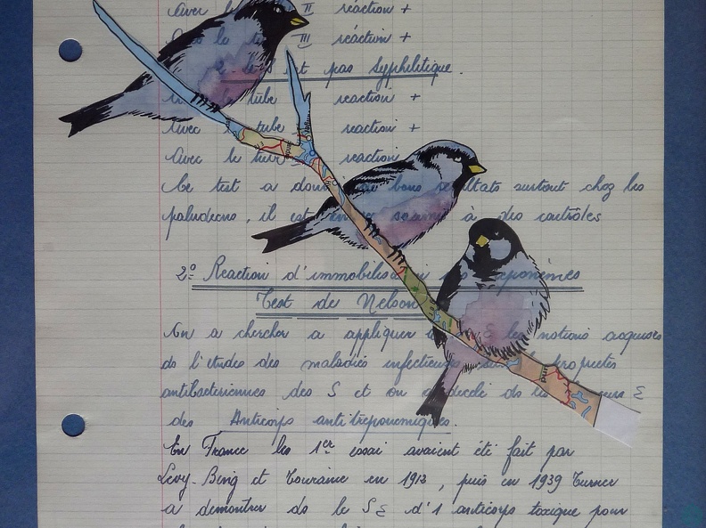 bestiaire-026