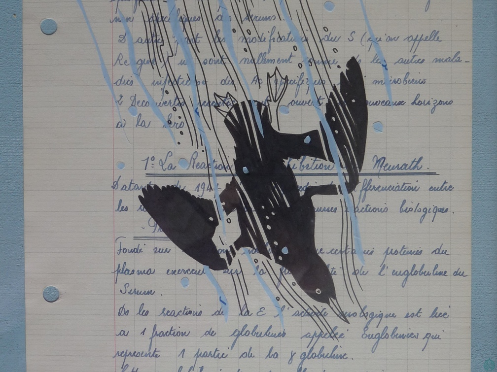 bestiaire-028