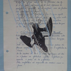 bestiaire-028