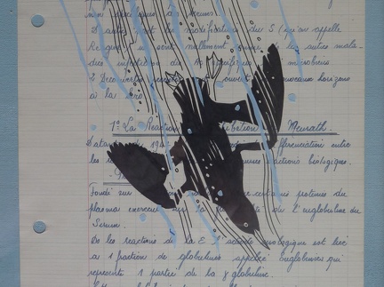 bestiaire-028