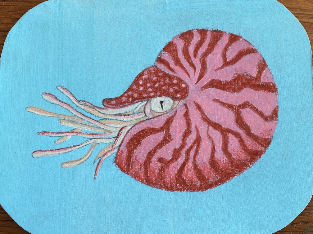 bestiaire-038