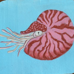 bestiaire-038