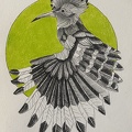 bestiaire-040