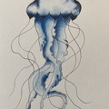 bestiaire-041