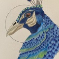 bestiaire-042
