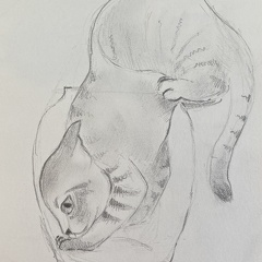bestiaire-043
