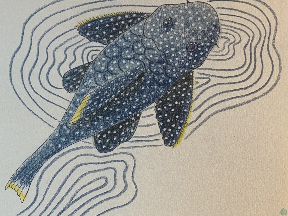 bestiaire-044