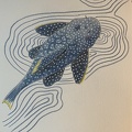 bestiaire-044