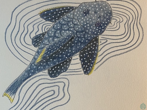 bestiaire-044