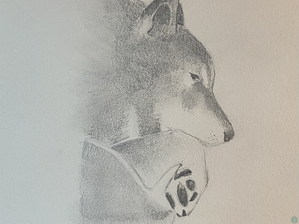 bestiaire-045