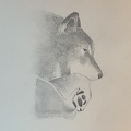bestiaire-045