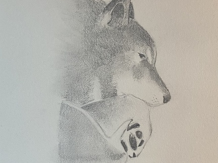 bestiaire-045