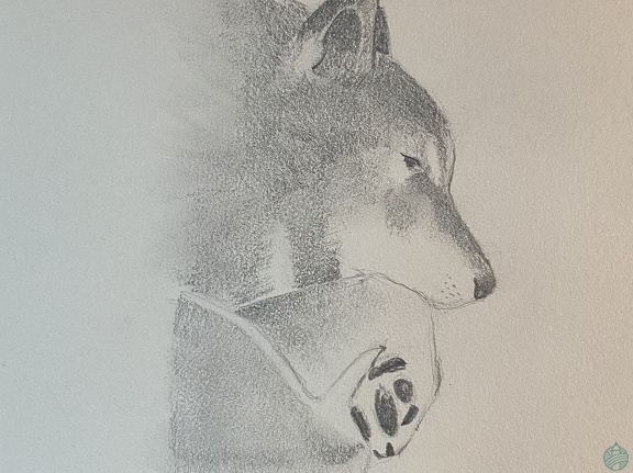 bestiaire-045