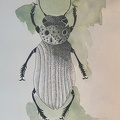bestiaire-046