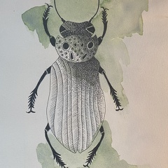 bestiaire-046