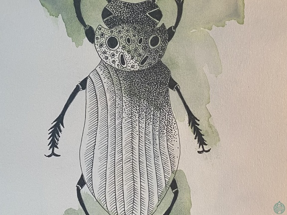 bestiaire-046