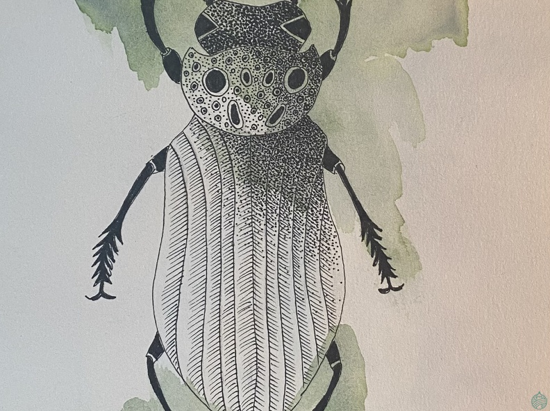 bestiaire-046