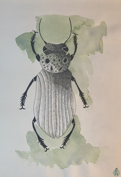 bestiaire-046.jpg