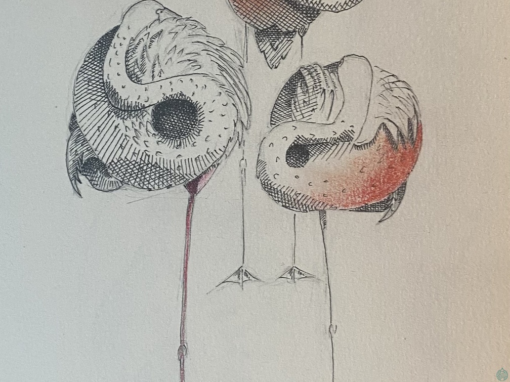 bestiaire-051