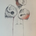 bestiaire-051
