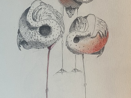 bestiaire-051
