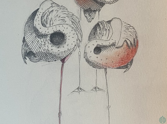bestiaire-051