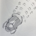 bestiaire-053