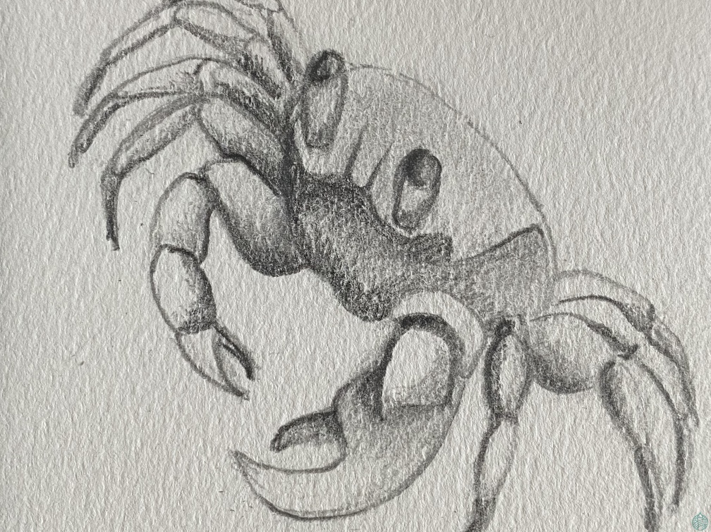 bestiaire-054