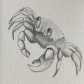 bestiaire-054