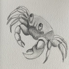 bestiaire-054