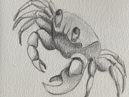 bestiaire-054