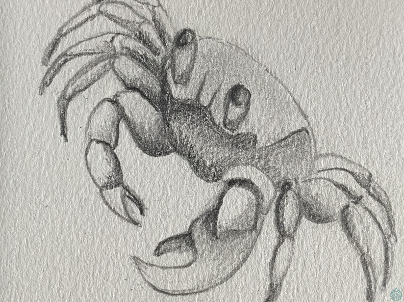 bestiaire-054