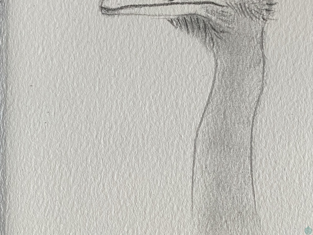 bestiaire-055