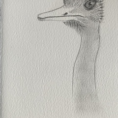 bestiaire-055