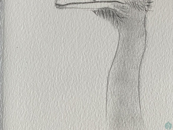 bestiaire-055