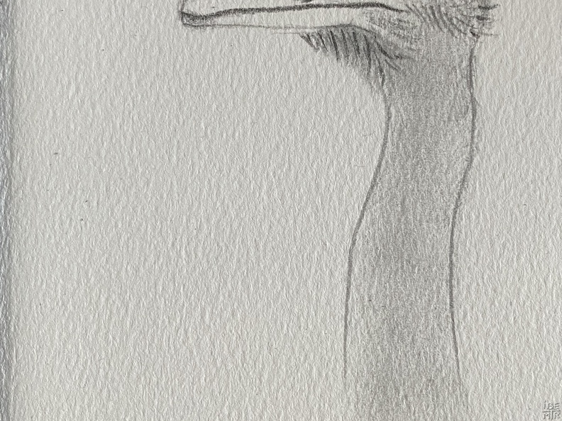 bestiaire-055