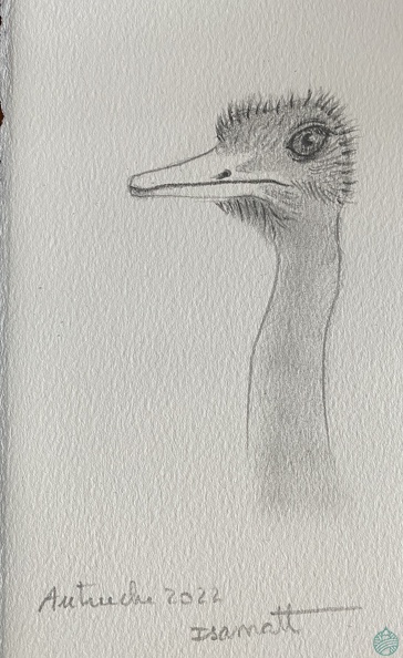 bestiaire-055.jpg