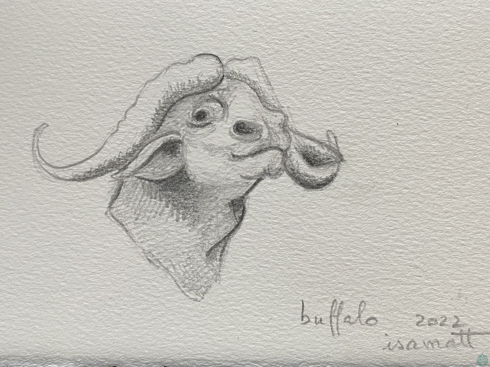 bestiaire-056