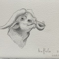 bestiaire-056
