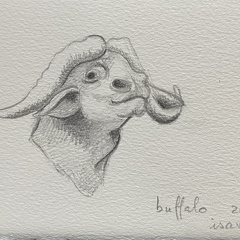 bestiaire-056