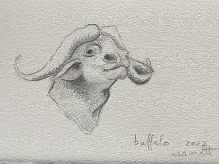 bestiaire-056