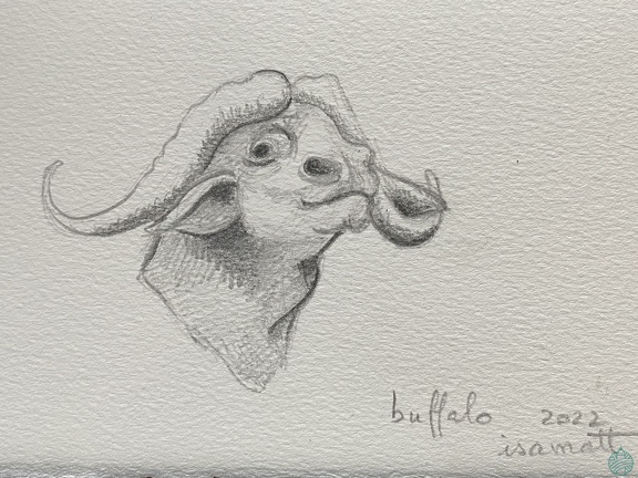 bestiaire-056