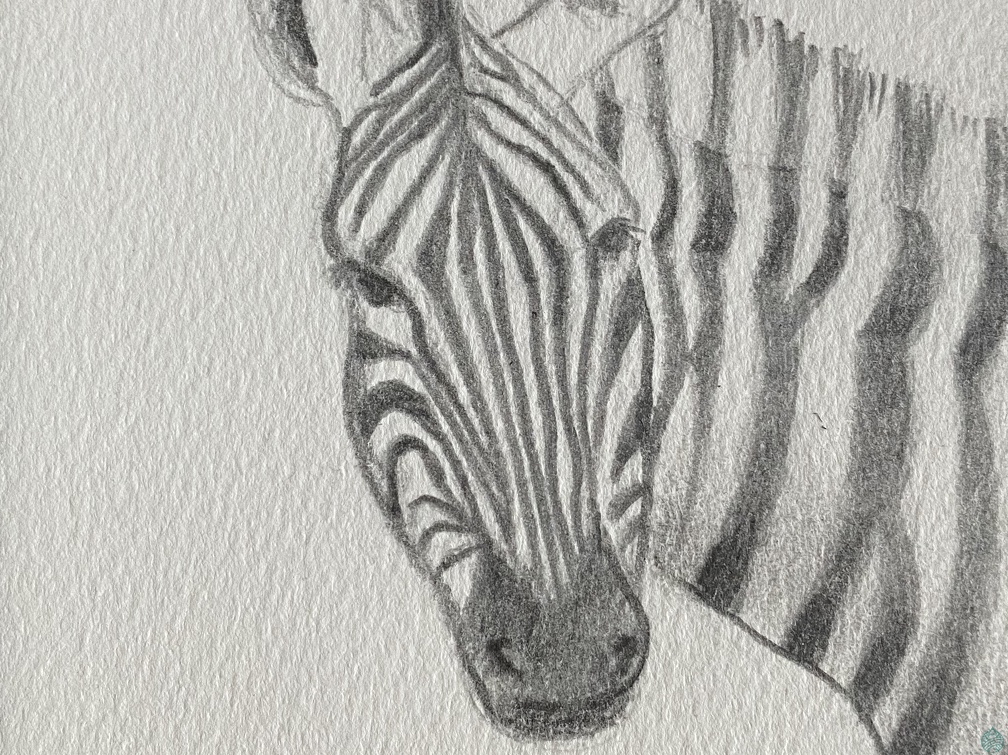 bestiaire-057
