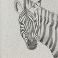 bestiaire-057