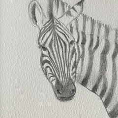 bestiaire-057